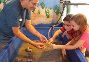 two children look at a seacreature in the aquarium