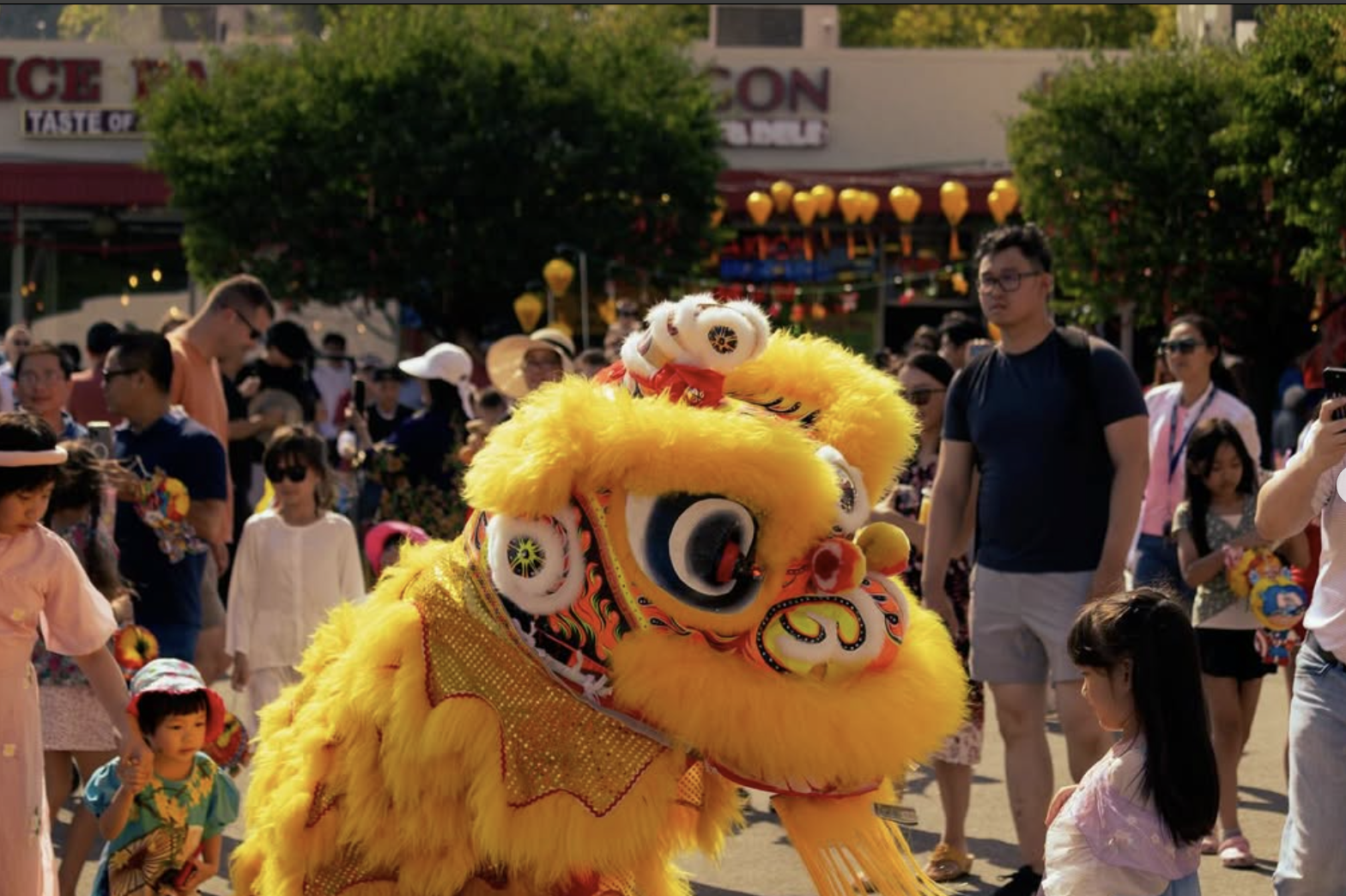 Chinese Lion Dancers at a parage