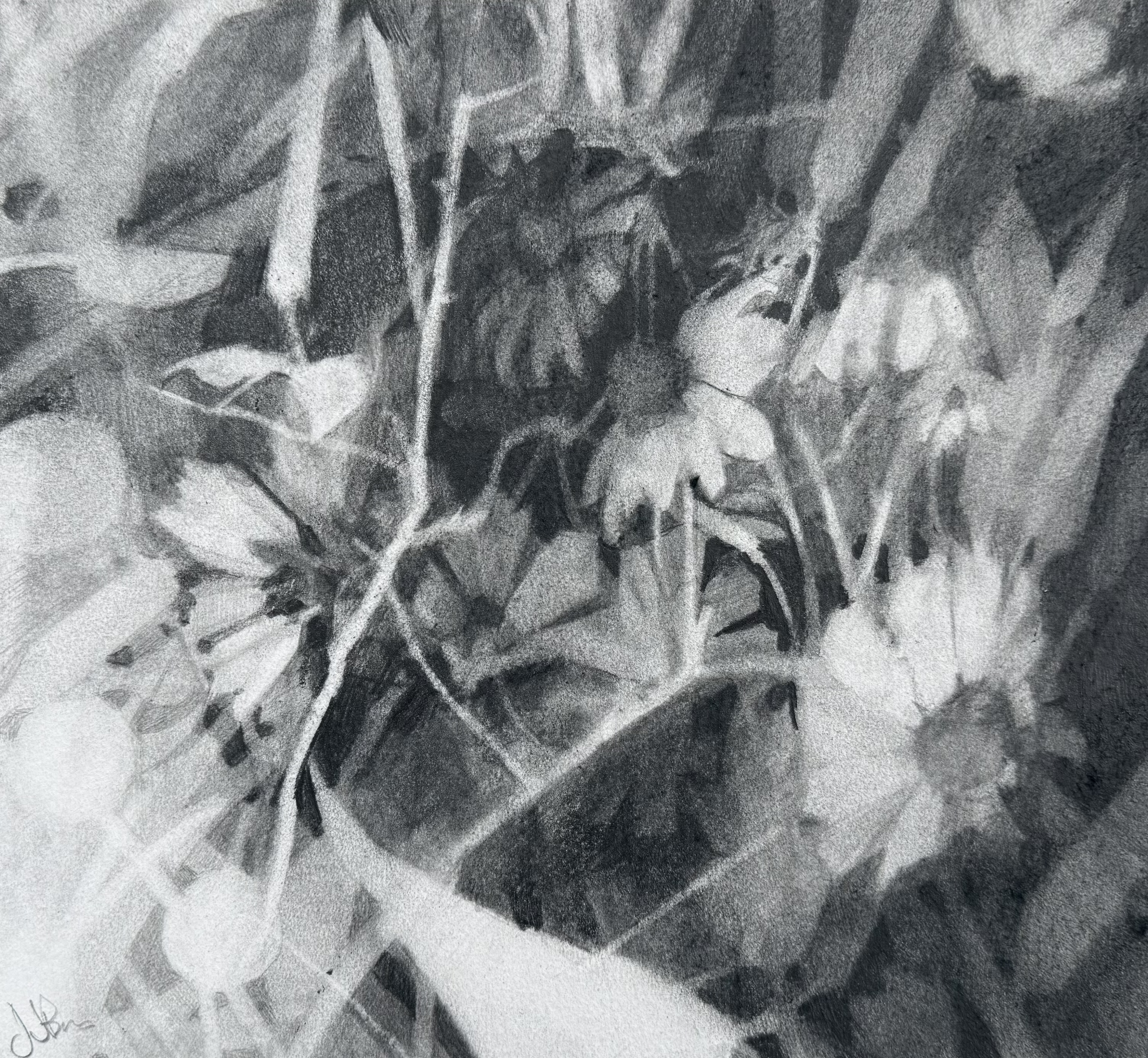 Charcoal artwork