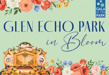 blue letters in a script font saying Glen Echo Park in Bloom with a light green background and beautiful colorful flowers framing the graphic. Also a photo of the Park's band organ. 