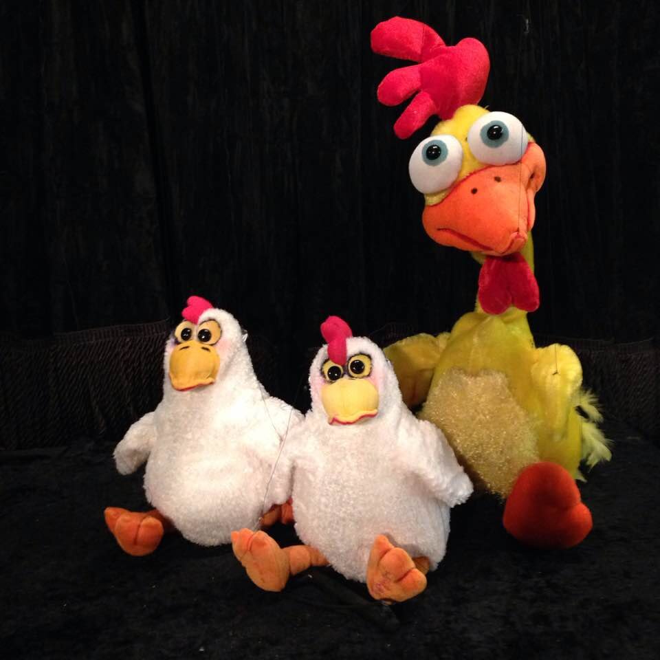 Chicken and rooster puppets sitting on black background