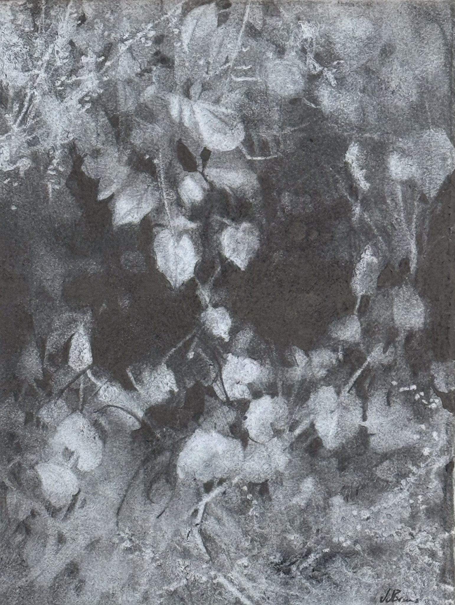 Charcoal artwork