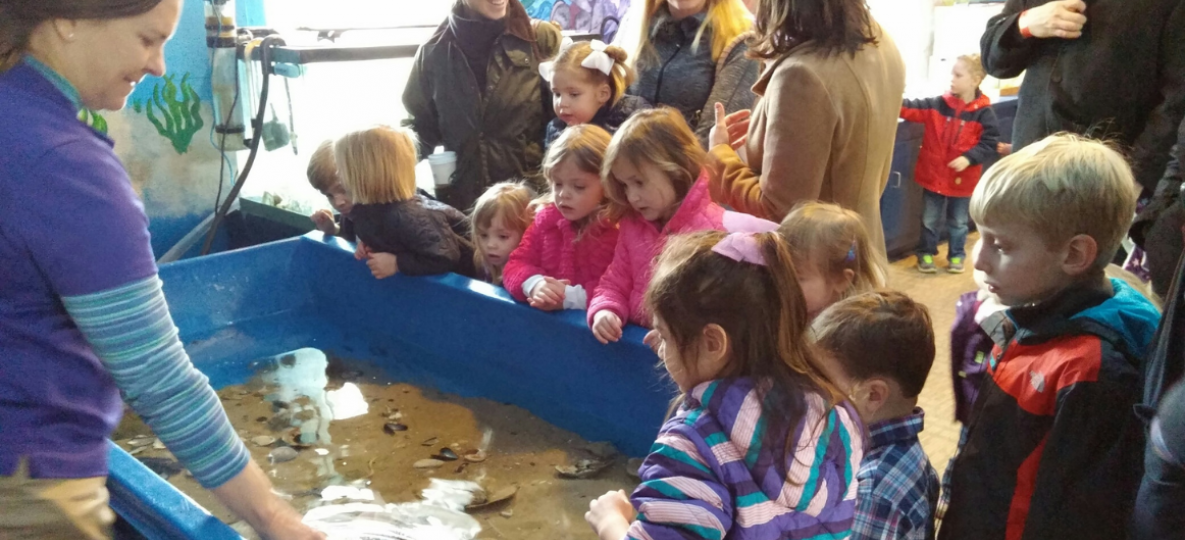 Children looking at Chesapeake Bay sea creatures in the water