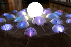 A glowing sphere is surrounded by horseshoe crab shells. 