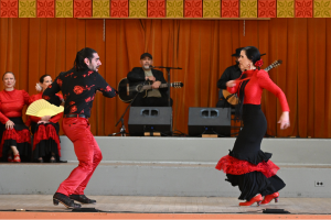 Two flamenco dancers