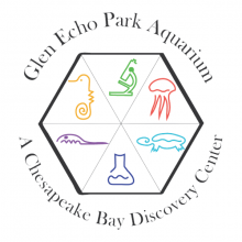 Hexagon with fish and science symbols inside, and "Glen Echo Park Aquarium, A Chesapeake Bay Discovery Center" text surrounding