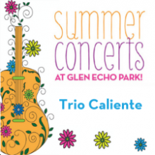 Summer concerts logo with yellow guitar